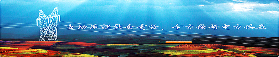 國企改革與視野
