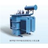 S9系列10KV級(jí)低損耗油浸式電力變壓器