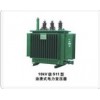 10kV級(jí)S11型油浸式電力變壓器