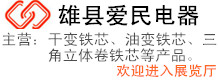 雄縣愛(ài)民電器有限公司