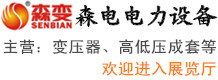 河南省森電電力設(shè)備股份有限公司