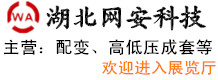 湖北網(wǎng)安科技有限公司